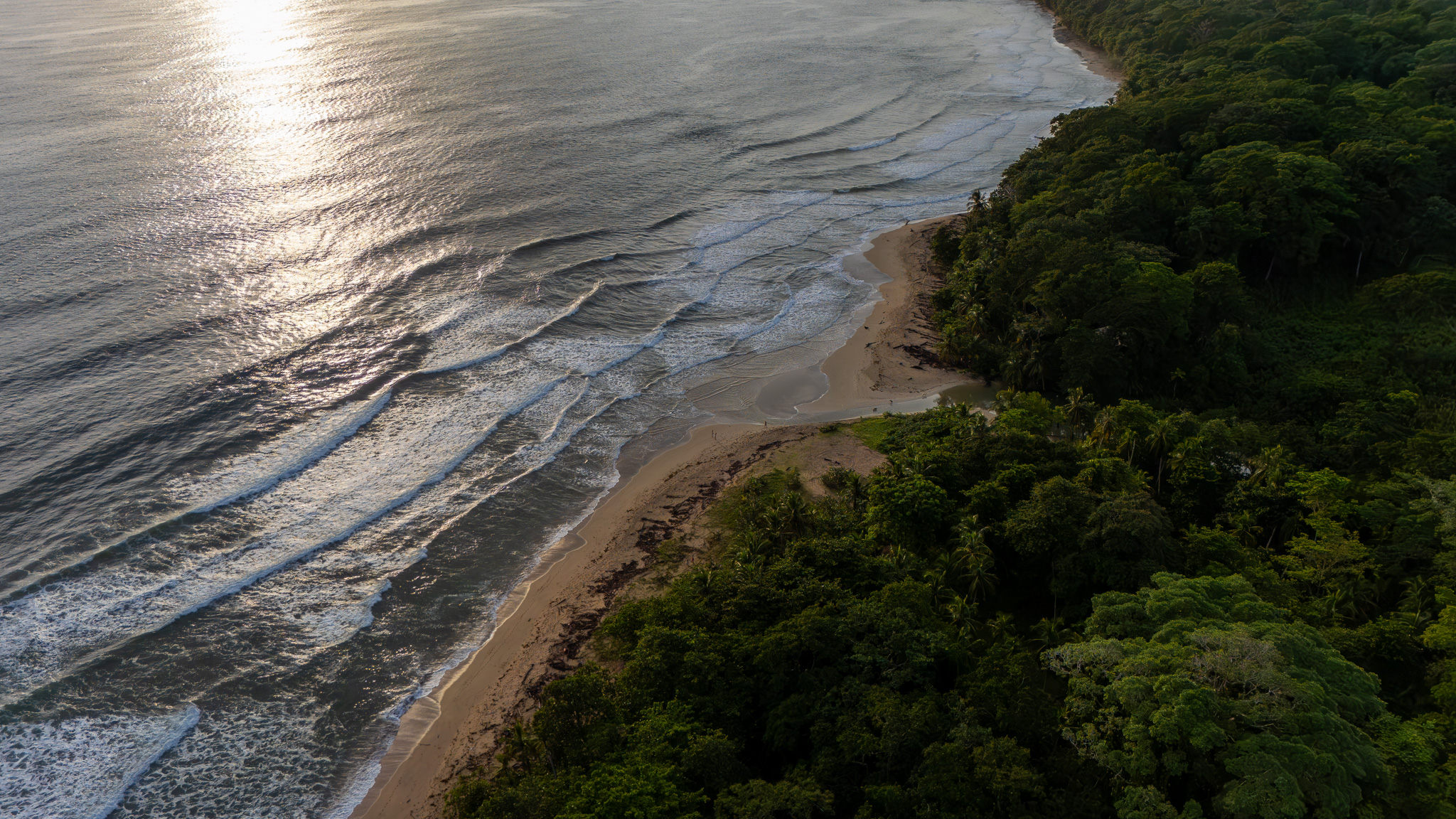 Vista aérea de Playa Grande entre Punta Uva y Manzanillo, con la línea de arena bordeada de bosque