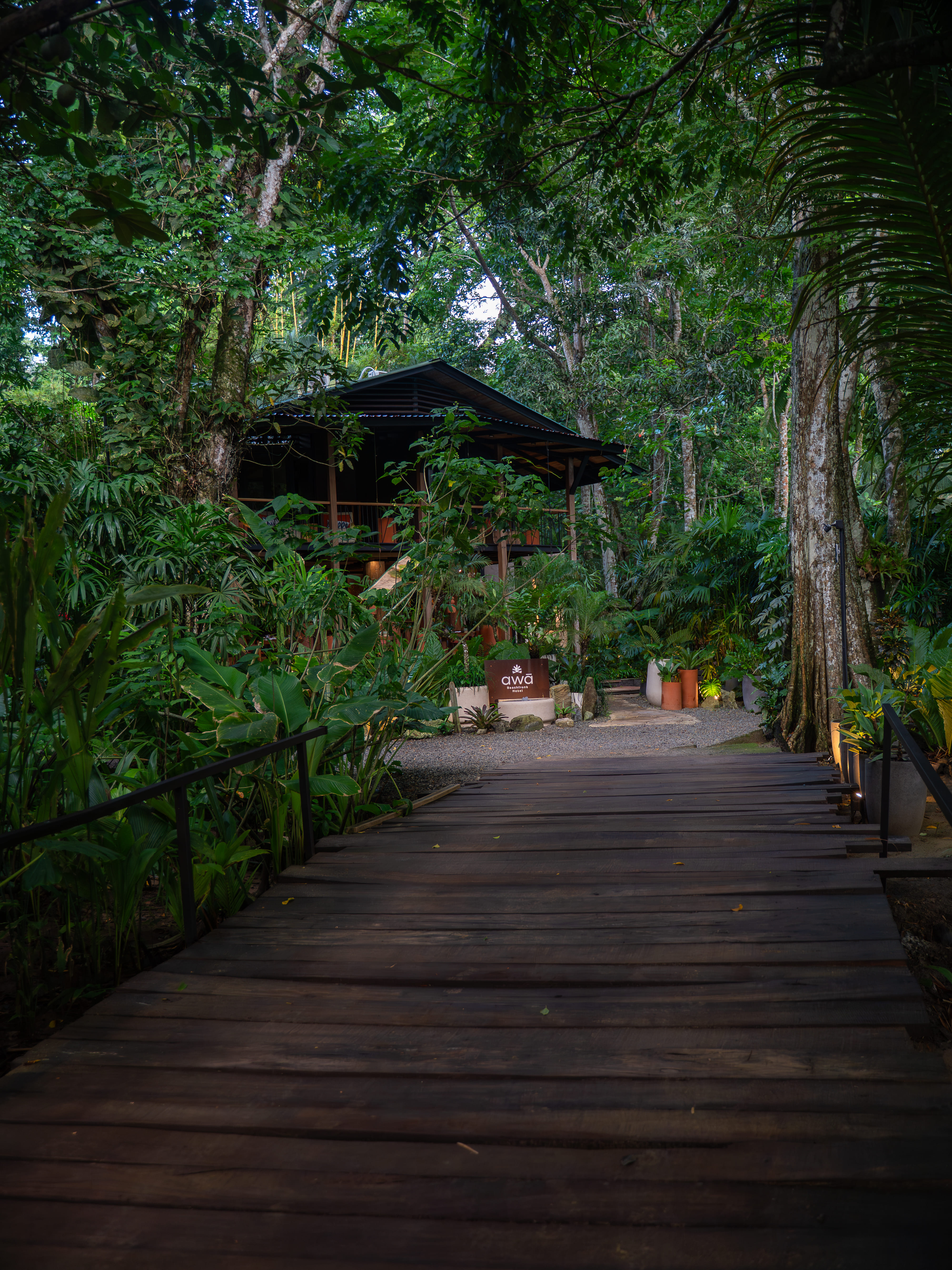 Sendero de madera y recepción de awā Beachfront entre vegetación densa