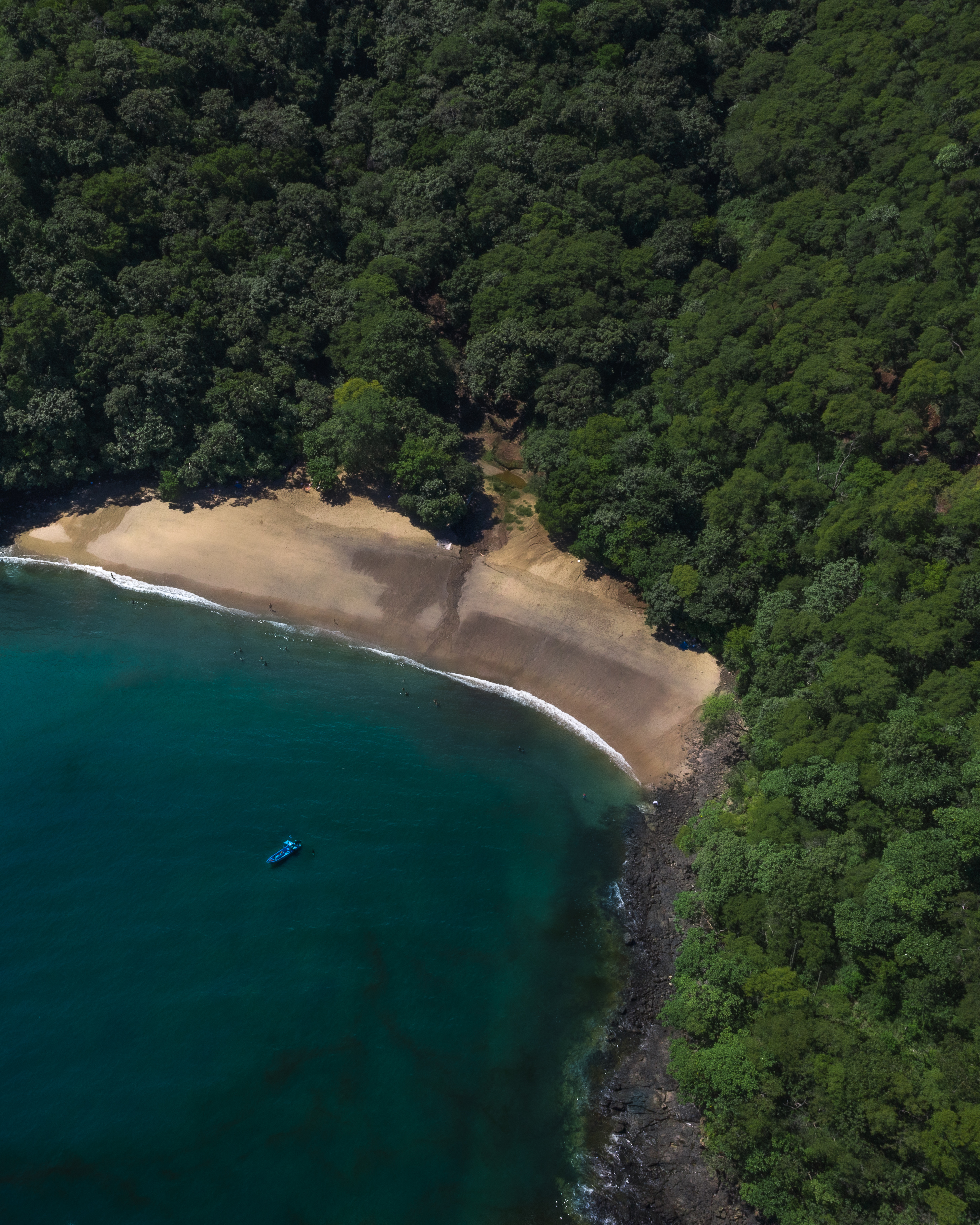 Sendero entre selva tropical hacia una catarata de aguas turquesas en temporada lluviosa