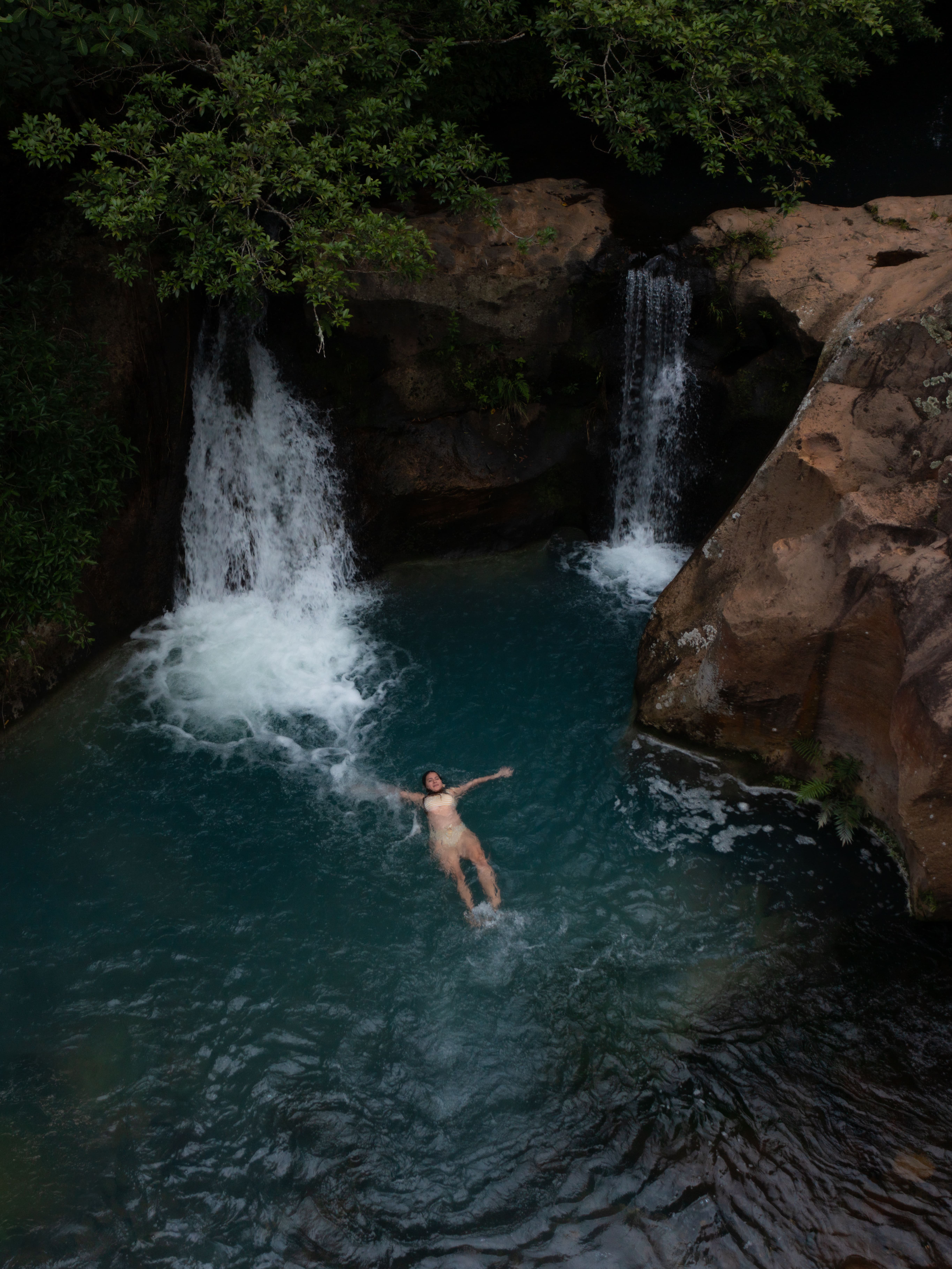 Bosque seco tropical reverdecido tras las primeras lluvias en Guanacaste